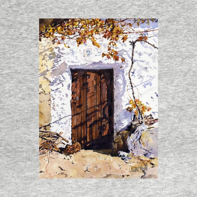 Puerta Rustica - Old Door by margaretmerry